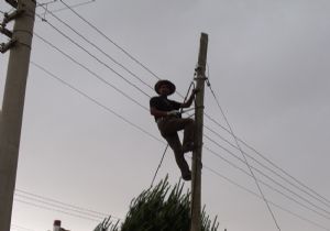 Telefon direklerini avladılar